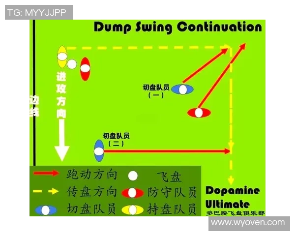 上海飞盘队区域防守战术解析与实战应用探讨